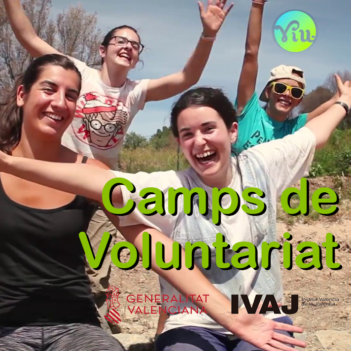 Camps de voluntariat juvenil