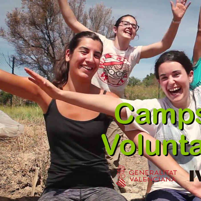 Camps de voluntariat juvenil