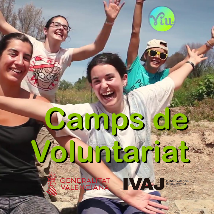 Camps de voluntariat