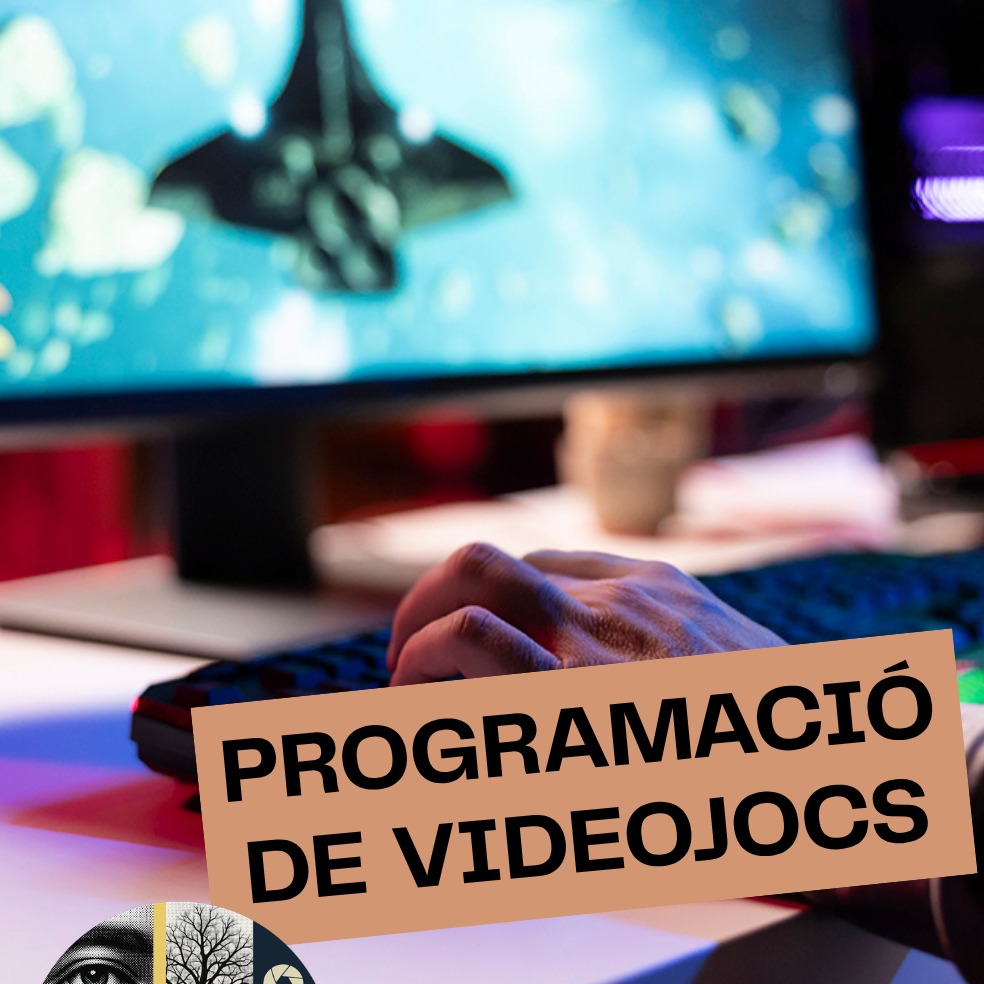 videojocs